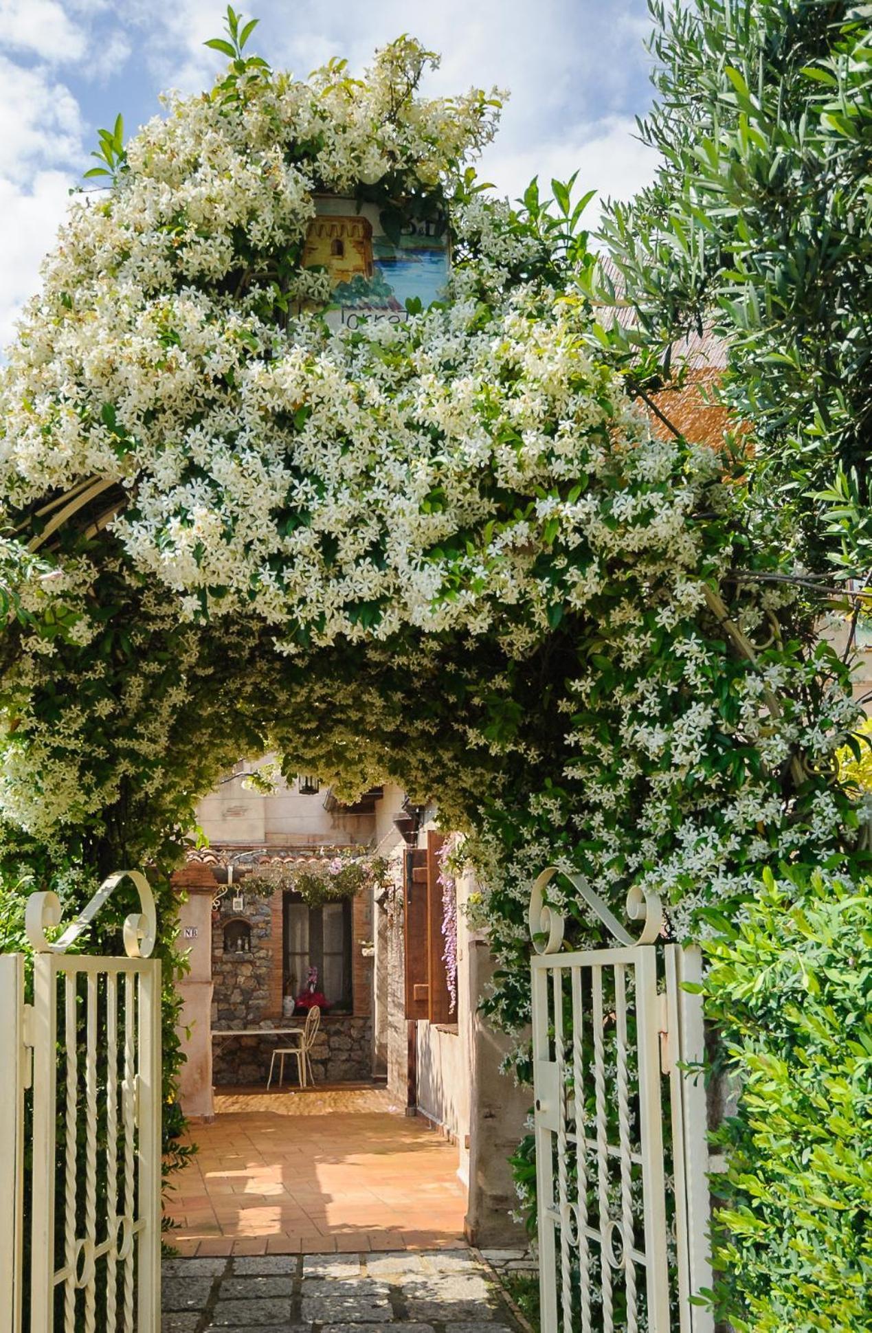 B&B La Torretta Maratea Bagian luar foto